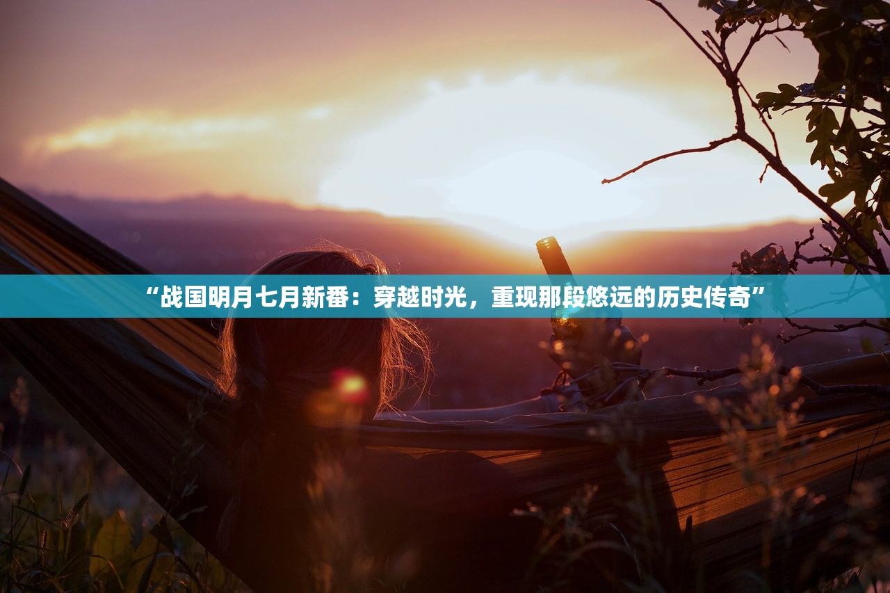 正版资料全年资料查询7456|分析与解释成语的收益与意义_管家婆.0.613