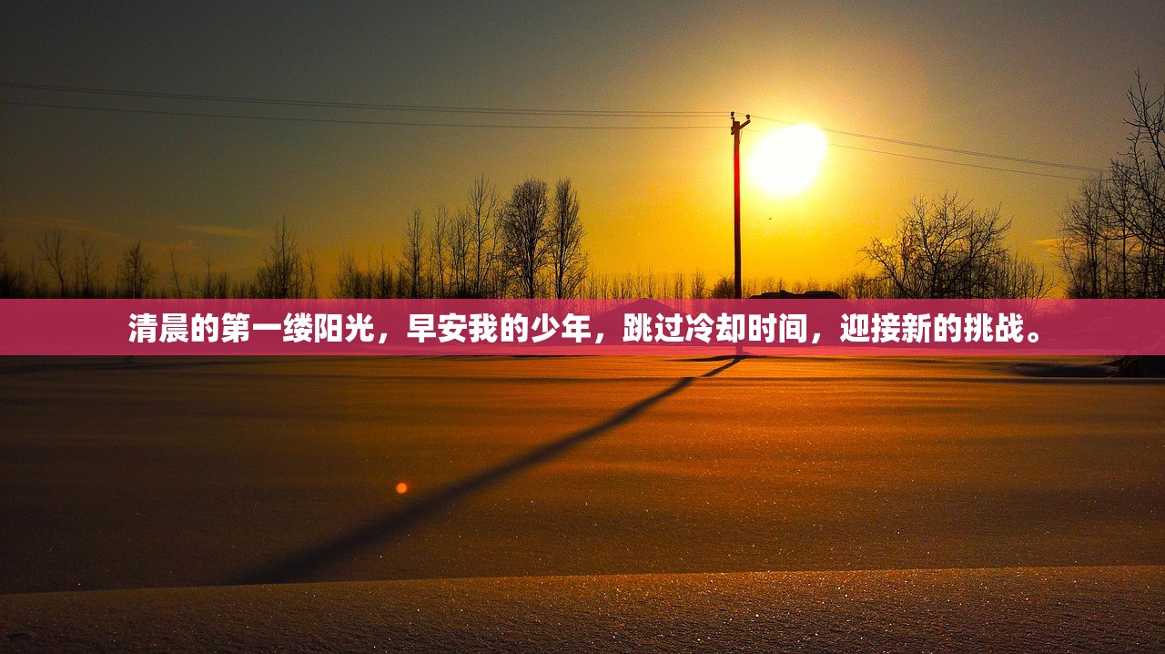 7777788888精准新传管家婆|掌握生活小窍门一步到位_创新版MIixue.4.855