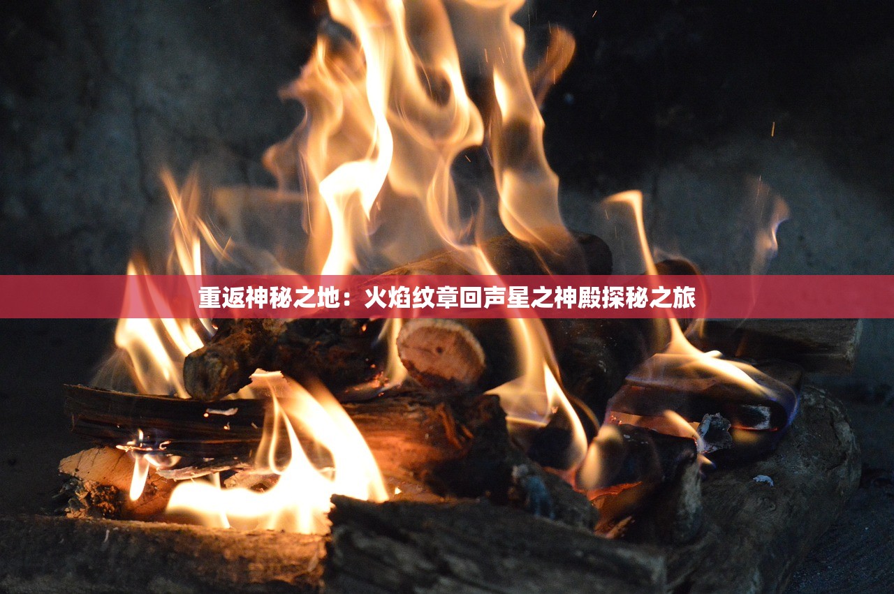 澳门天天彩期期精准龙门客栈凯旋门图片|探秘澳门美食文化之旅_战略款.9.815