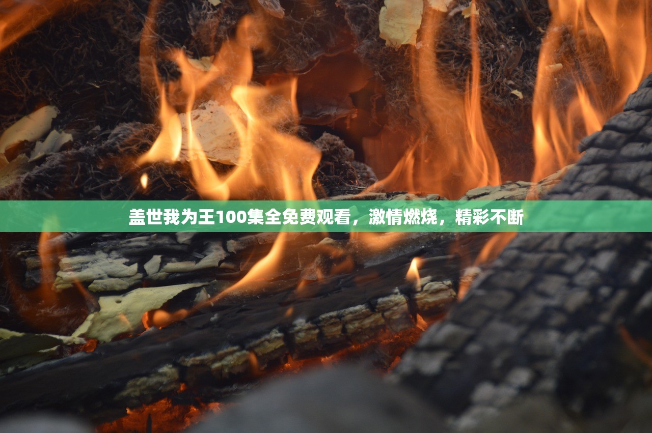 白小姐一码一肖中特1肖7456|探索城市新魅力让旅行更精彩_精细款.9.195