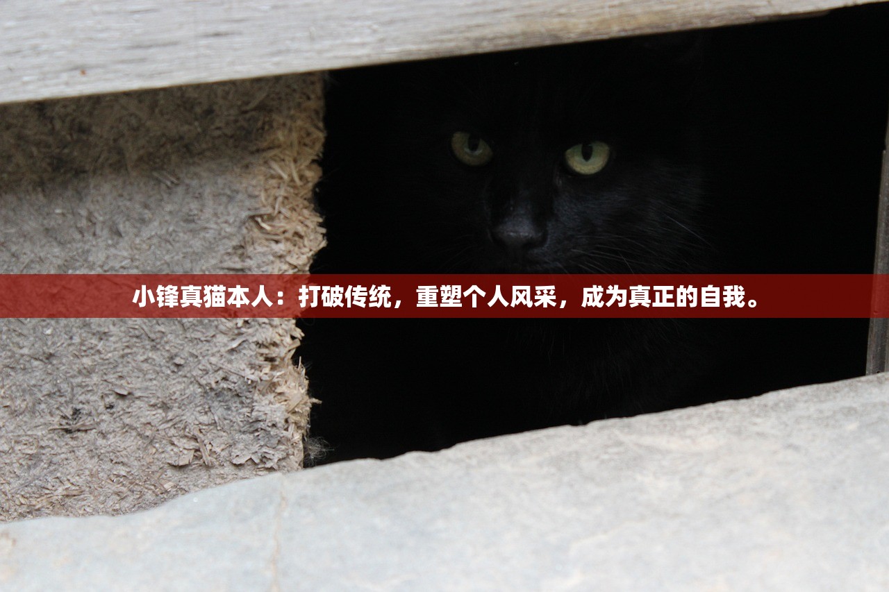 澳门4949精准免费大全管家婆|热点问题的深入讨论与解答_半成制.8.722
