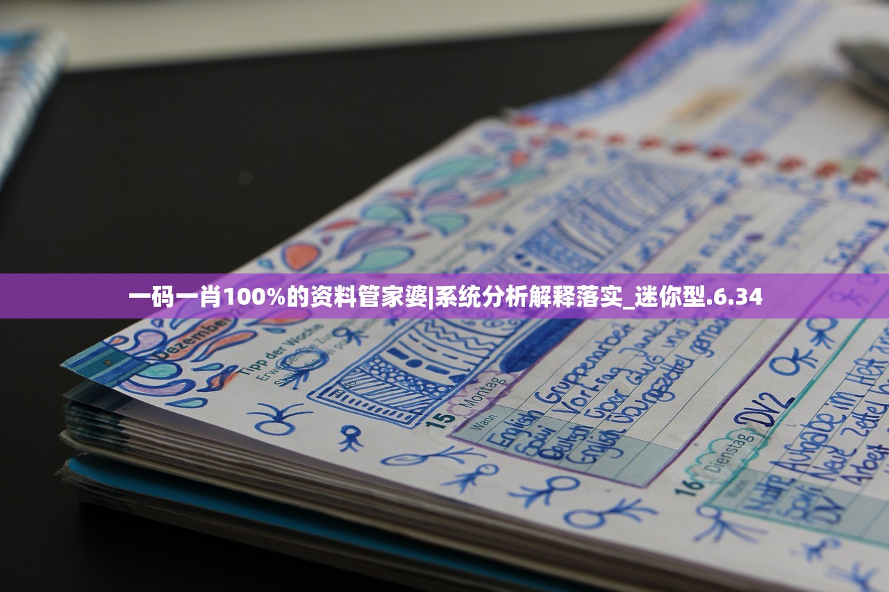 一码一肖100%的资料管家婆|系统分析解释落实_迷你型.6.34