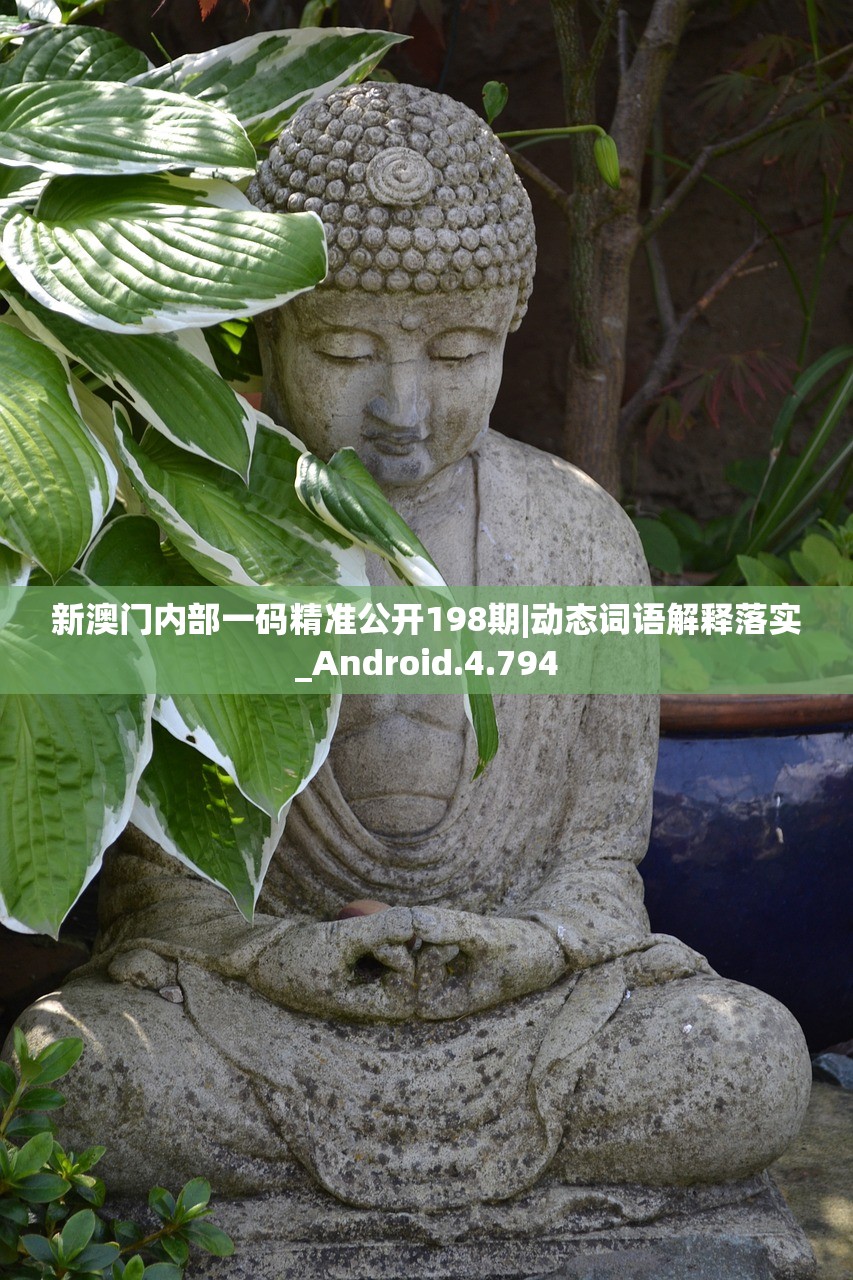 新澳门内部一码精准公开198期|动态词语解释落实_Android.4.794