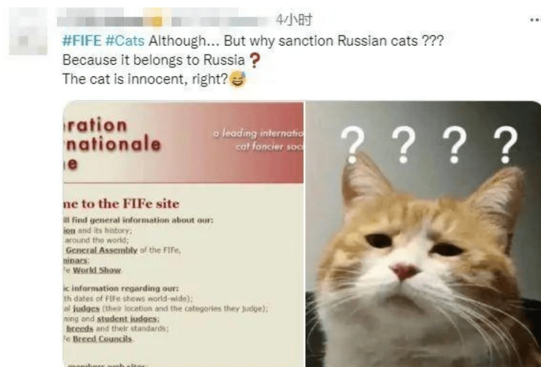 猫与朋友正版免费（暂未上线）-猫与朋友全解锁最新版2024下载v.8.93